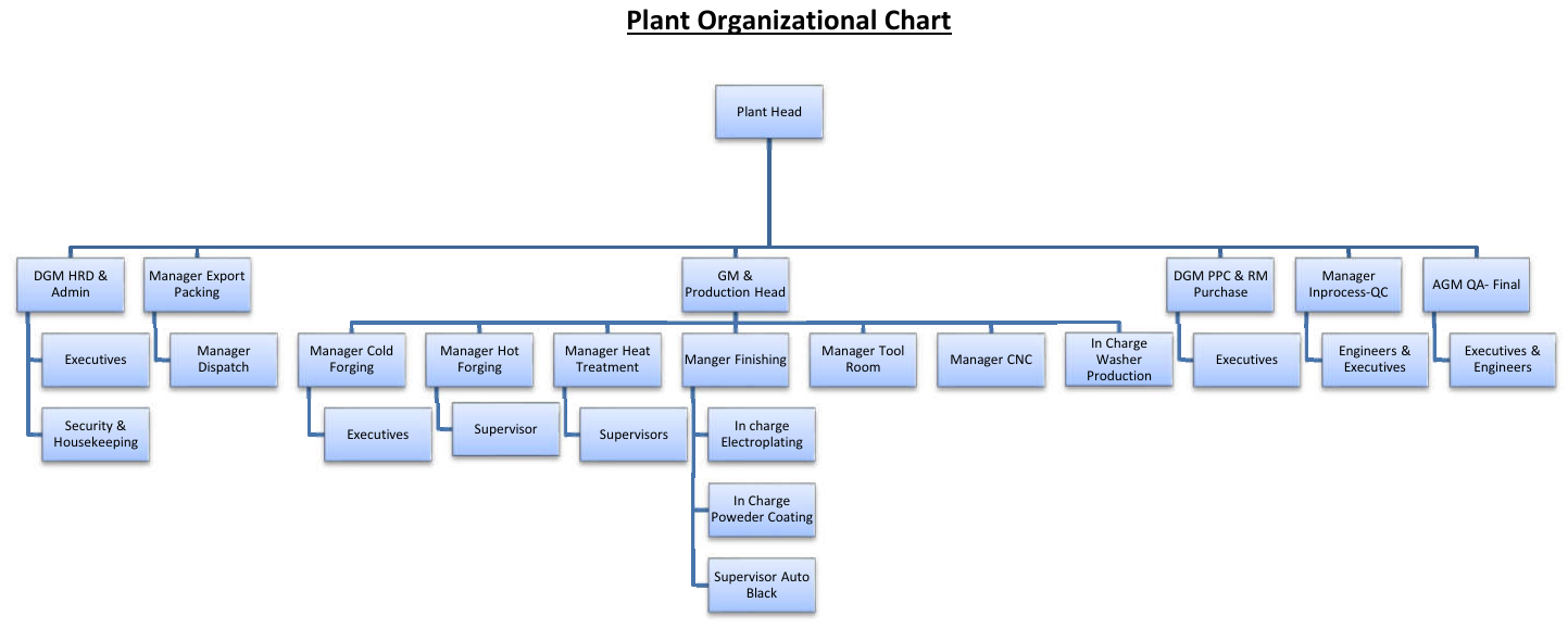 Organization Chart